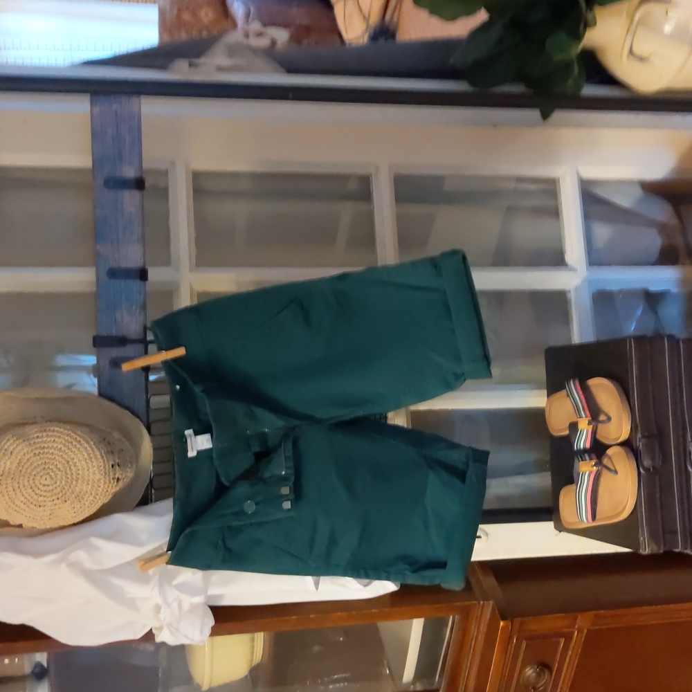 Loft Skinny Bermudas